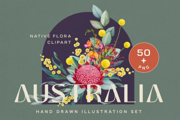 Australia Flora Watercolor Clipart: Native Beauty for Modern Design